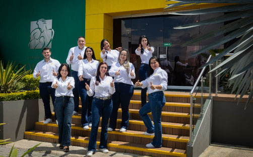 Asesor/a Comercial